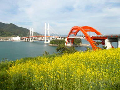 Ashlee's study abroad in South Korea. Photo Credit © Ashlee Hashman